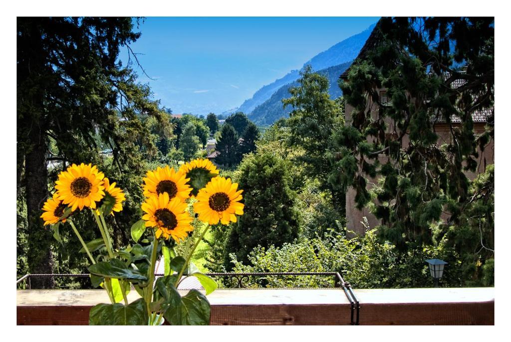 Apparthotel Taufenbrunn Parcines Exterior photo